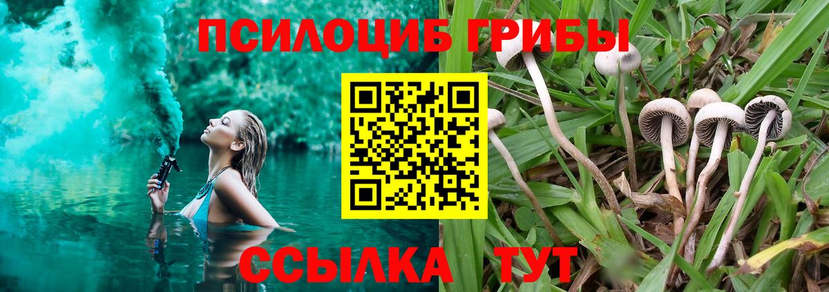 Псилоцибиновые грибы ЛСД Клин